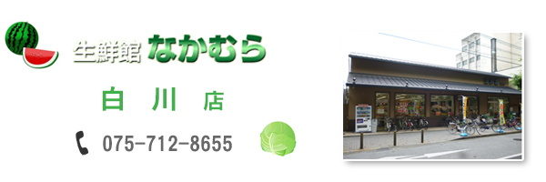 store_shirakawa